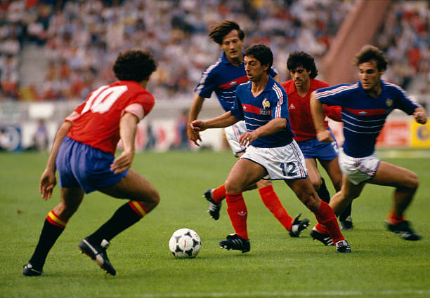 展現了側翼 展現了側翼